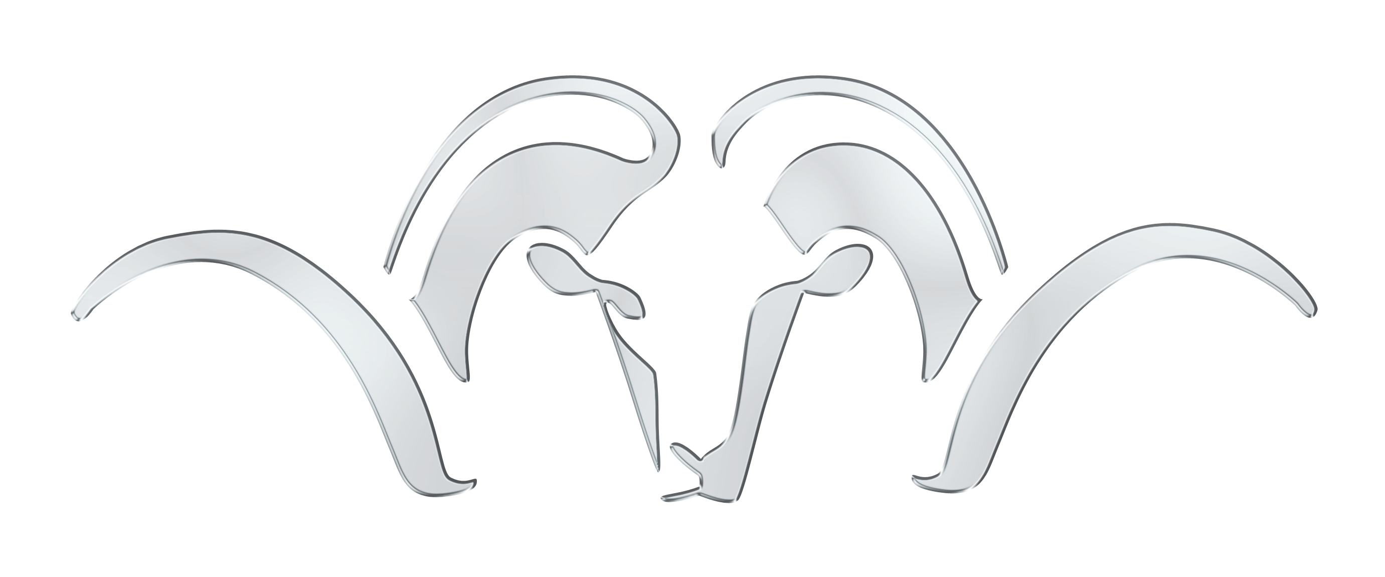 Blaser Logo